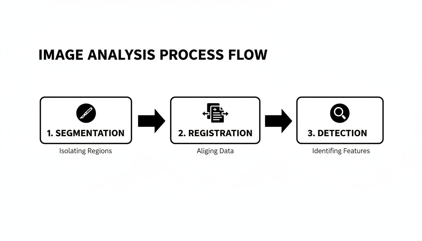 A flow diagram illustrating the three main steps of image analysis: segmentation, registration, and detection.