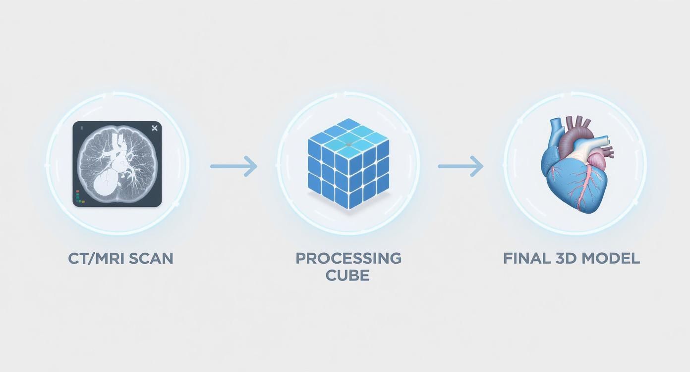 Infographic about 3d visualization software