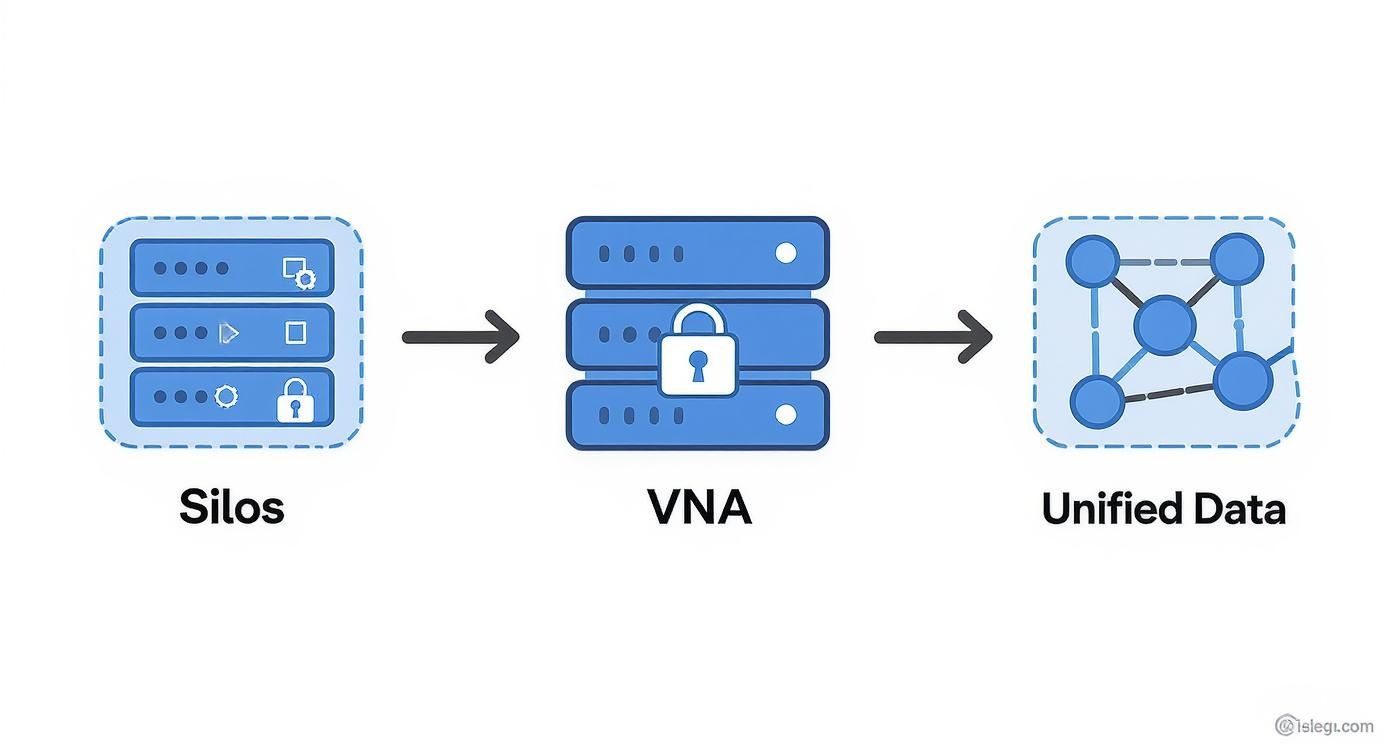 Diagram showing data flow from silos through vendor neutral archive to unified data integration