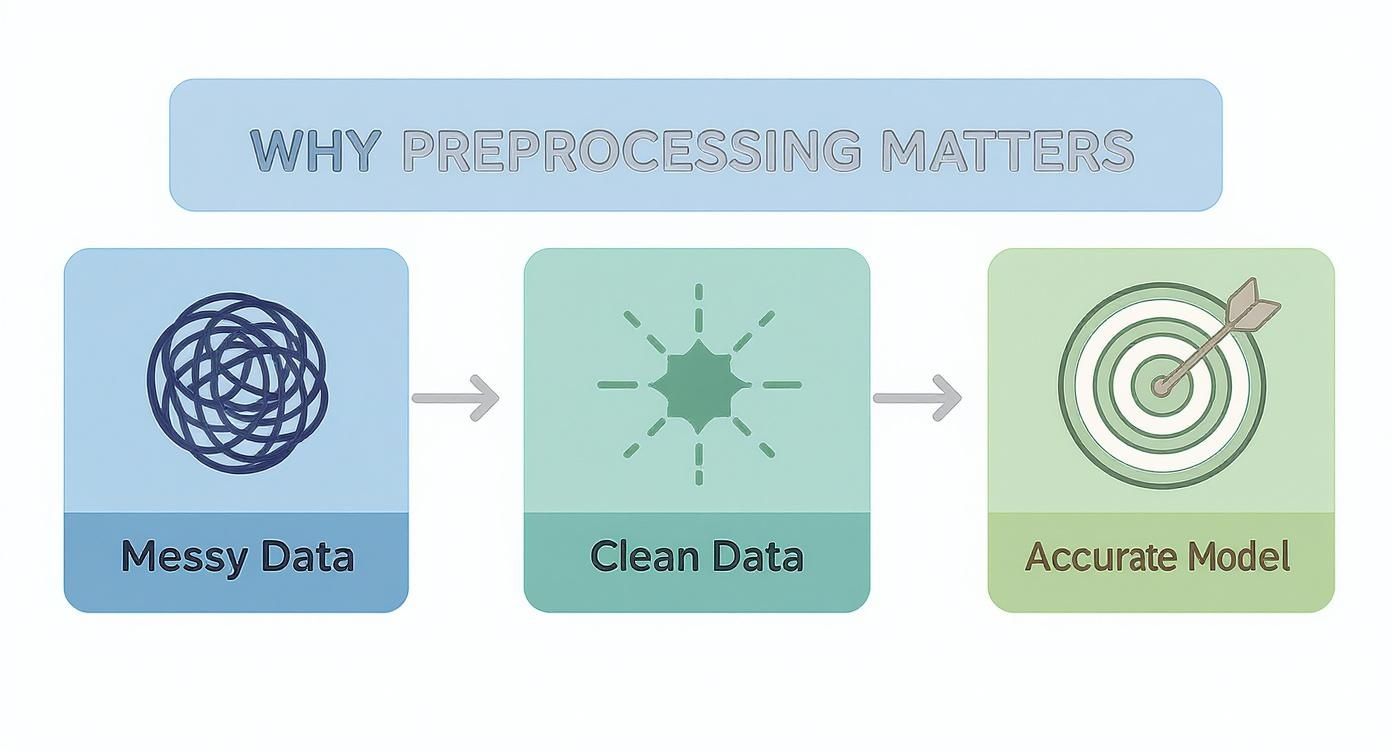 Infographic about what is data preprocessing