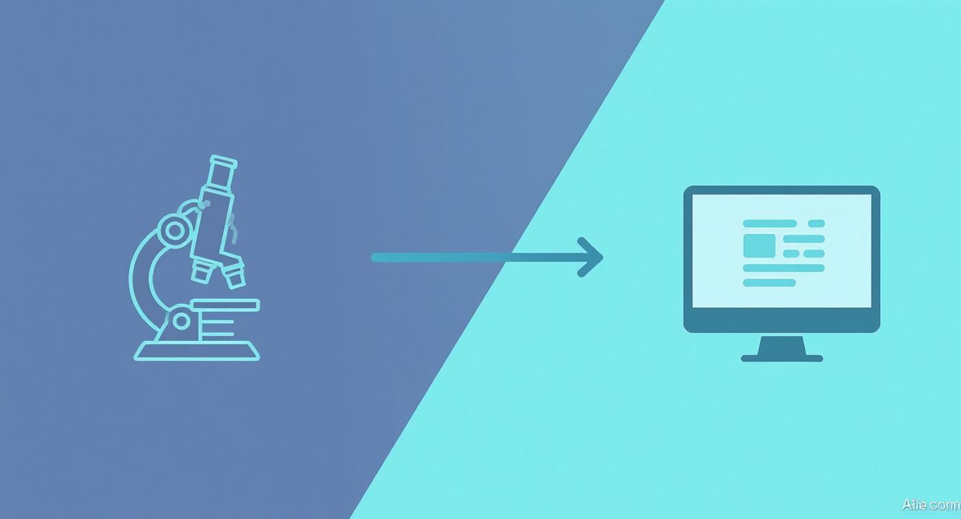 Infographic about digital pathology software