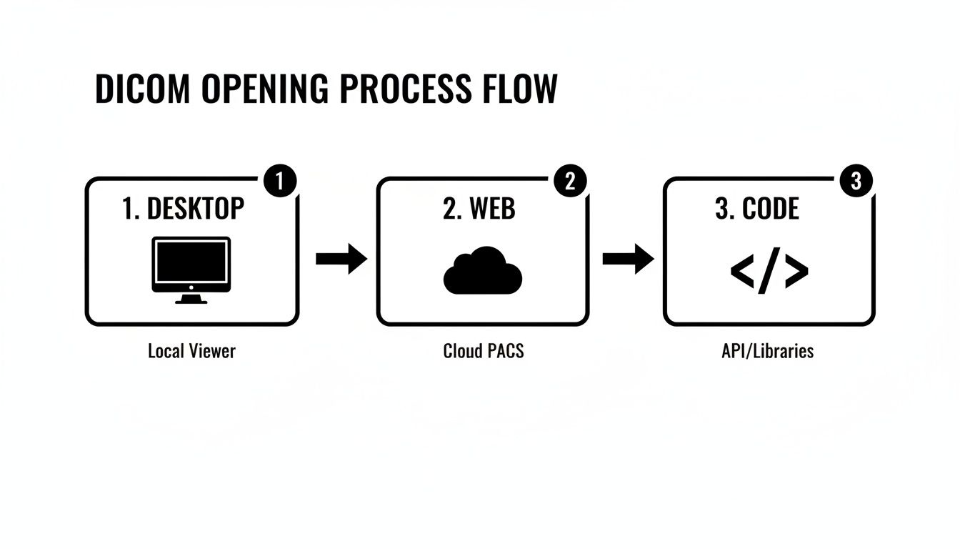 Diagram showing three ways to open DICOM files: local viewer, cloud PACS, and API/libraries.