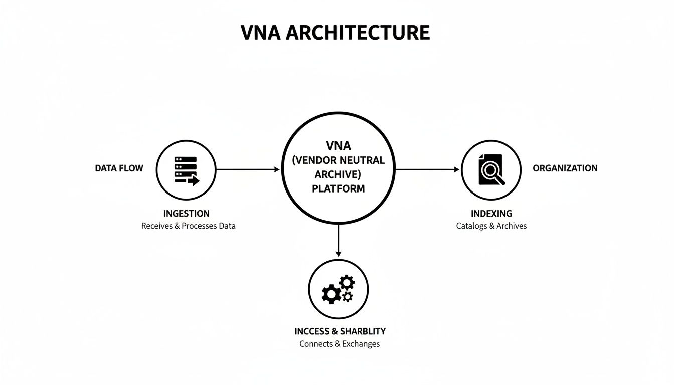 A VNA (Vendor Neutral Archive) architecture diagram illustrating data ingestion, processing, indexing, and access capabilities.
