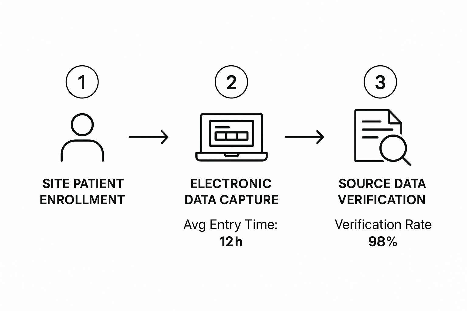 Infographic about data management in clinical trials