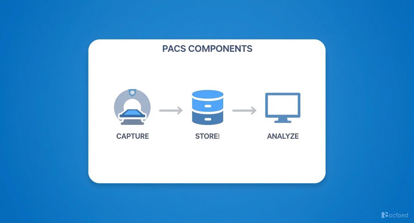 Infographic about what is pacs in radiology