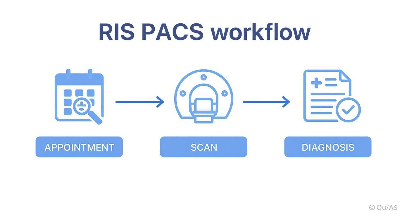 A blue icon workflow illustrating RIS PACS systems: appointment scheduling, medical scan, and diagnosis reporting.