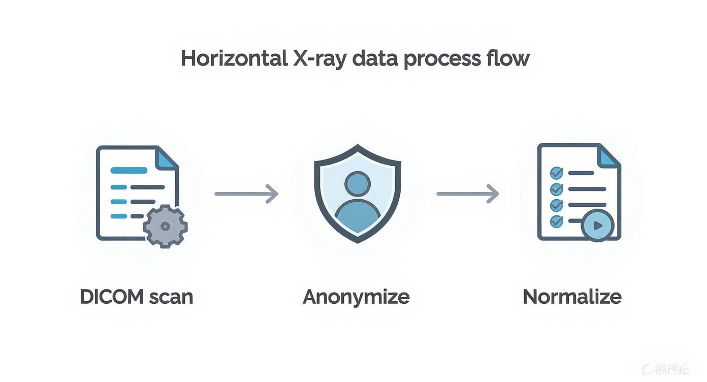 Infographic about how to xray images