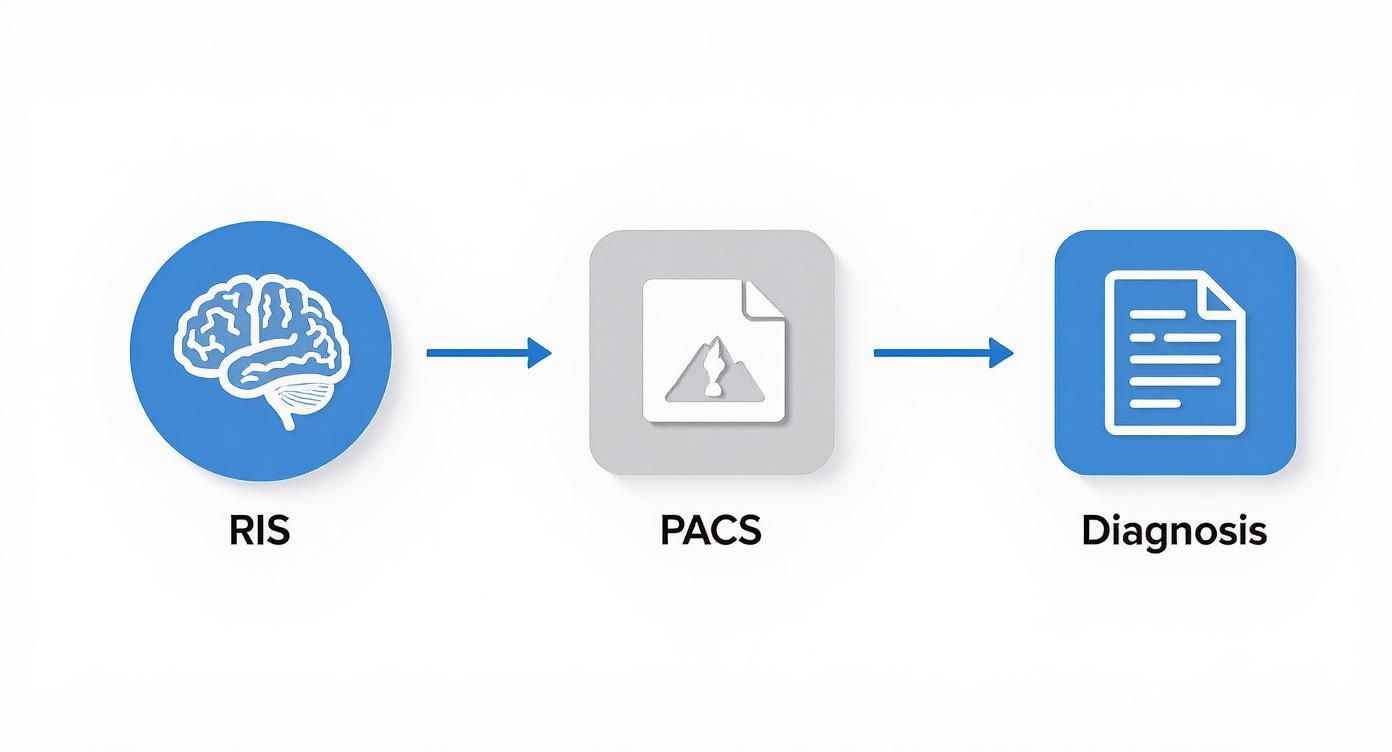 Workflow diagram showing RIS to PACS to diagnosis process in medical imaging system