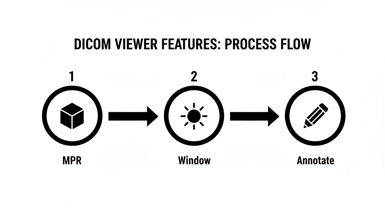 Infographic about what is a dicom viewer