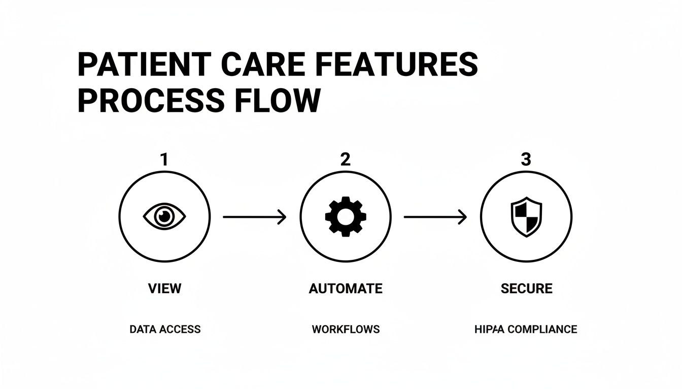 Process flow for patient care features outlining view, automate, and secure steps for data access and compliance.