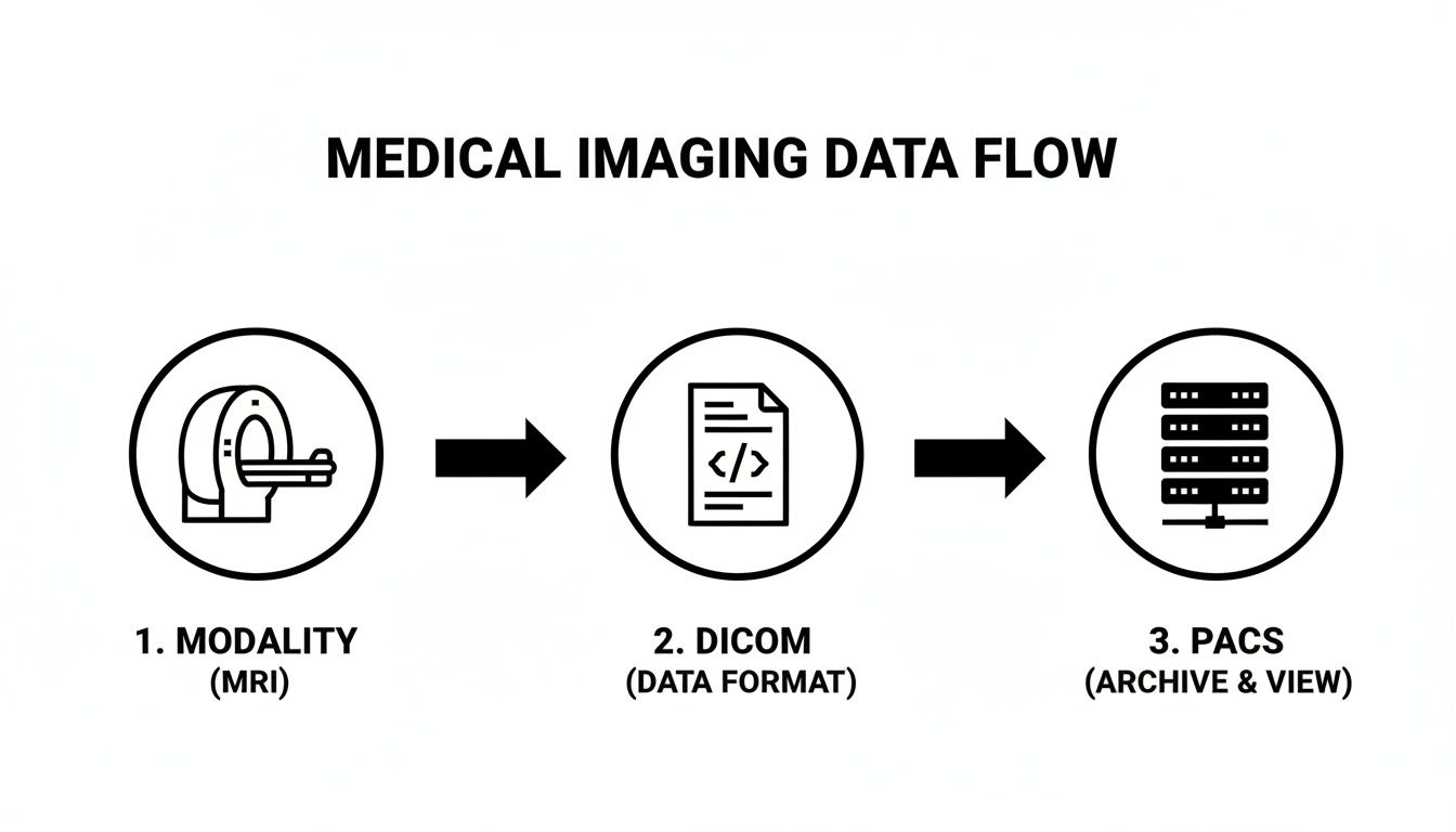 A diagram illustrating the medical imaging data flow from MRI modality to DICOM format and PACS for archiving.