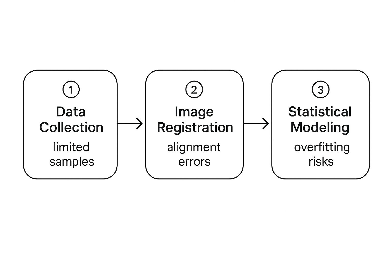 Infographic about statistical shape modeling