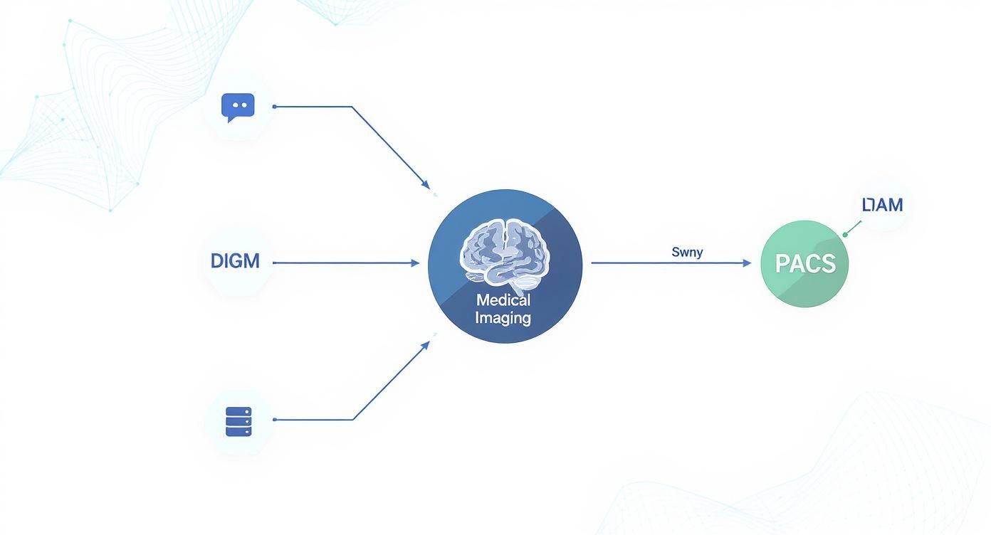 A medical imaging workflow diagram showing data flowing from DIGM and other sources to Medical Imaging, then to PACS and DAM.