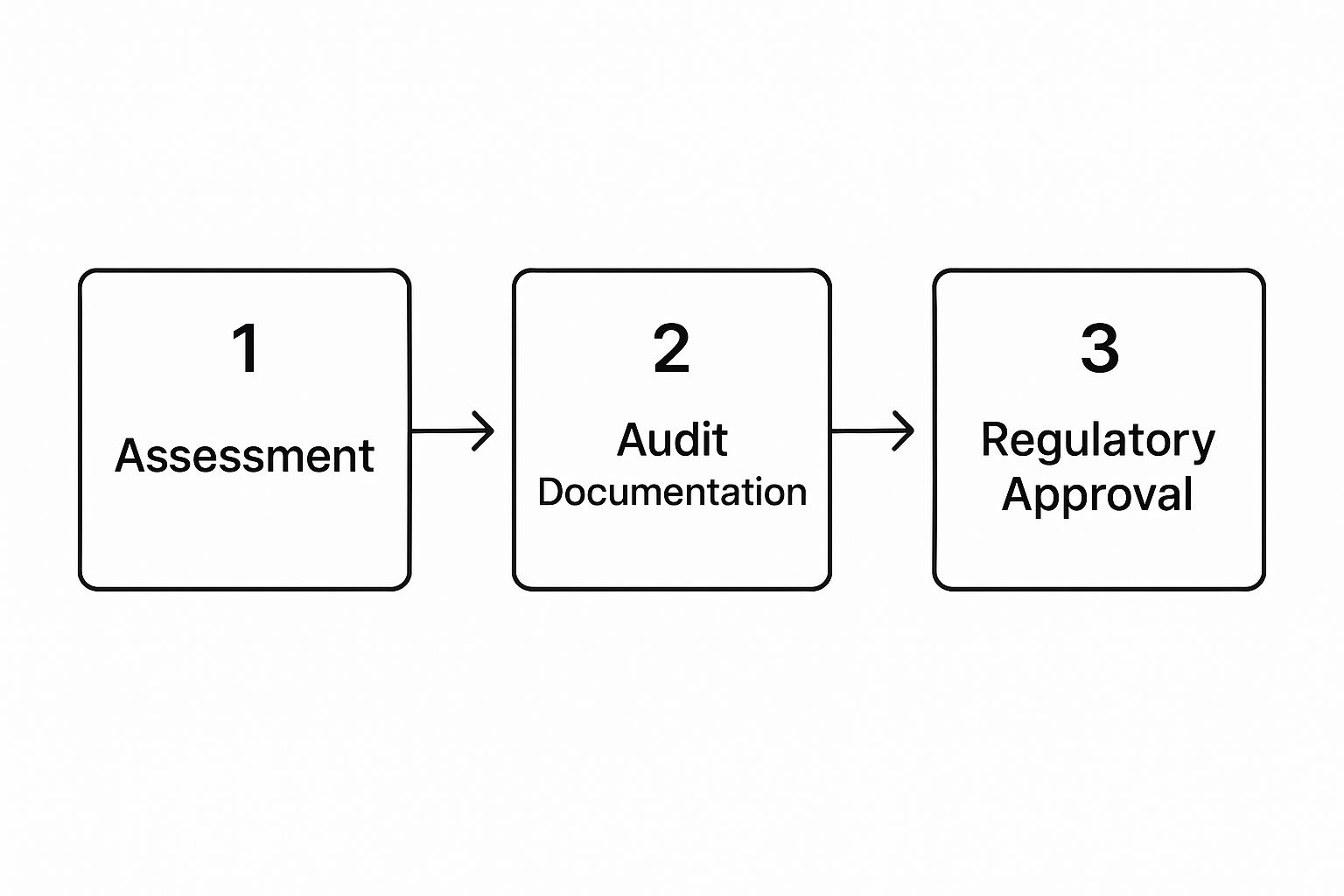 Infographic about medical software development process
