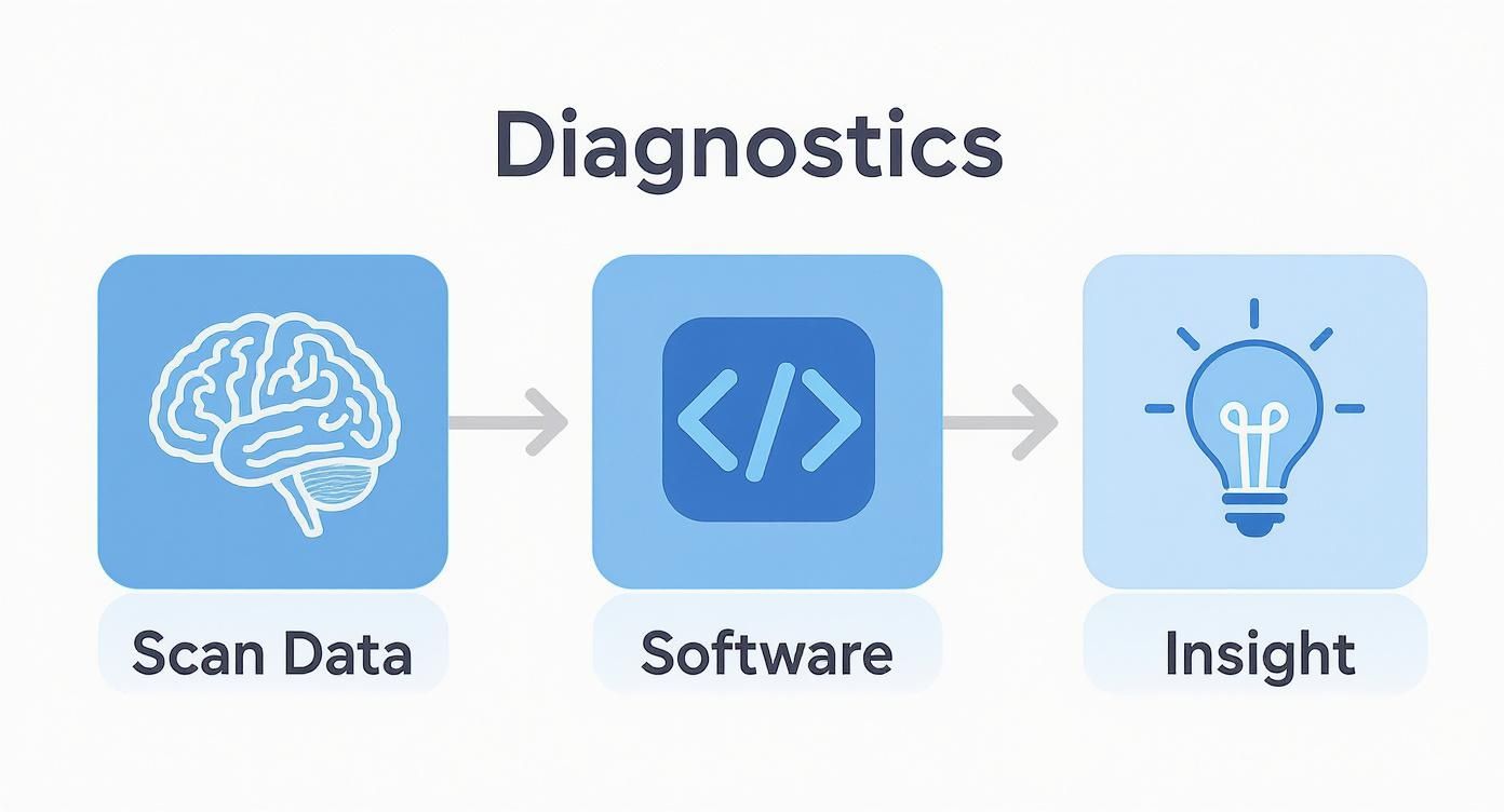 Infographic about medical image software
