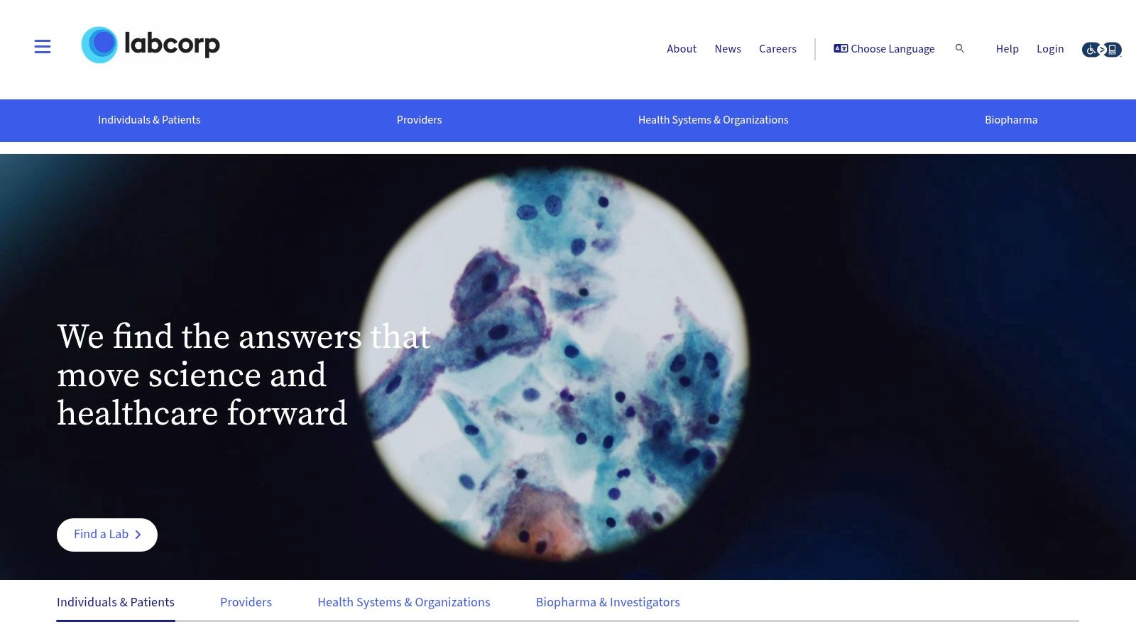 Microscopic view of sperm cells for a sperm analysis