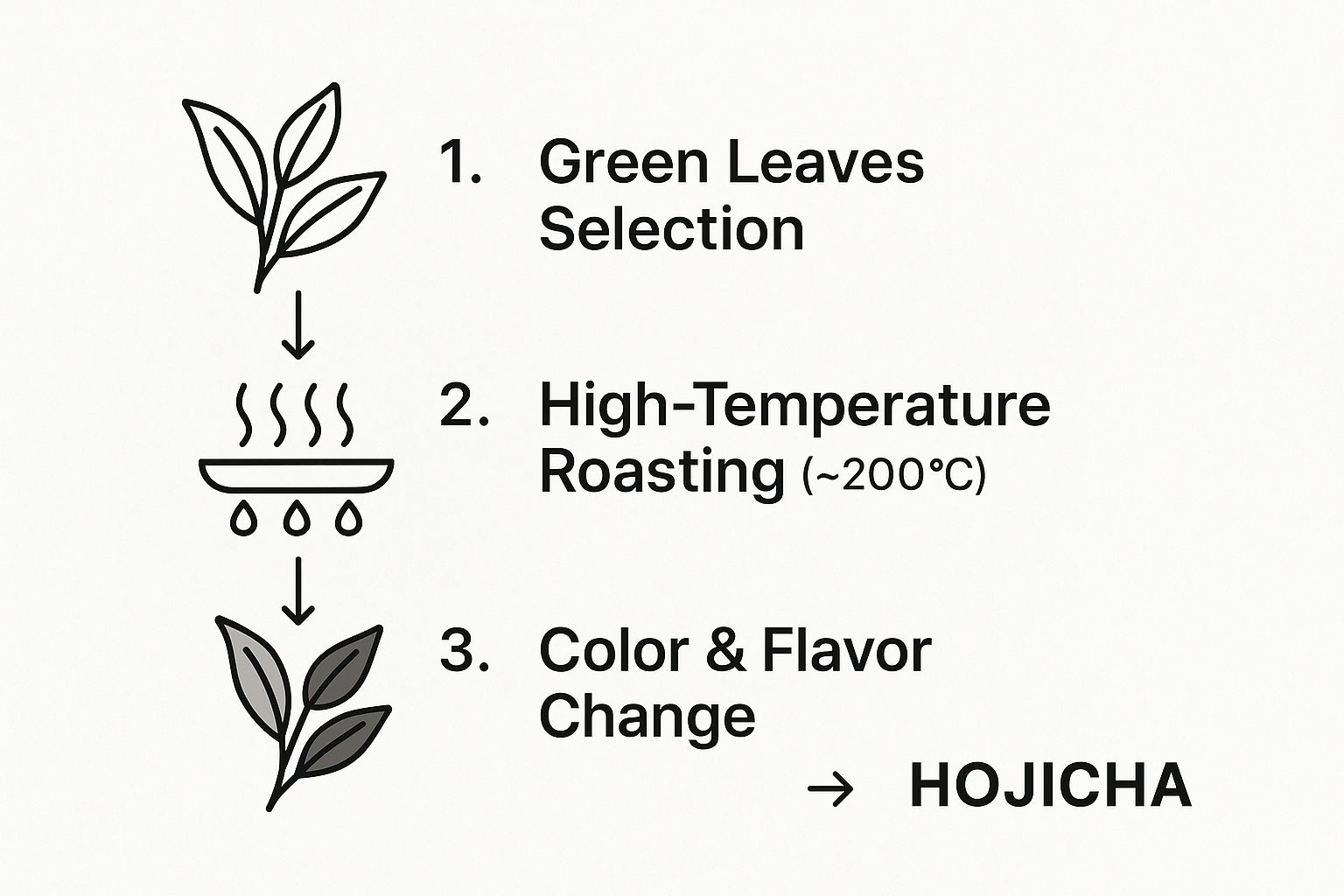 An infographic showing the three-step process of turning green tea into hojicha: Green Leaves Selection, High-Temperature Roasting, and the resulting Colour & Flavour Change.