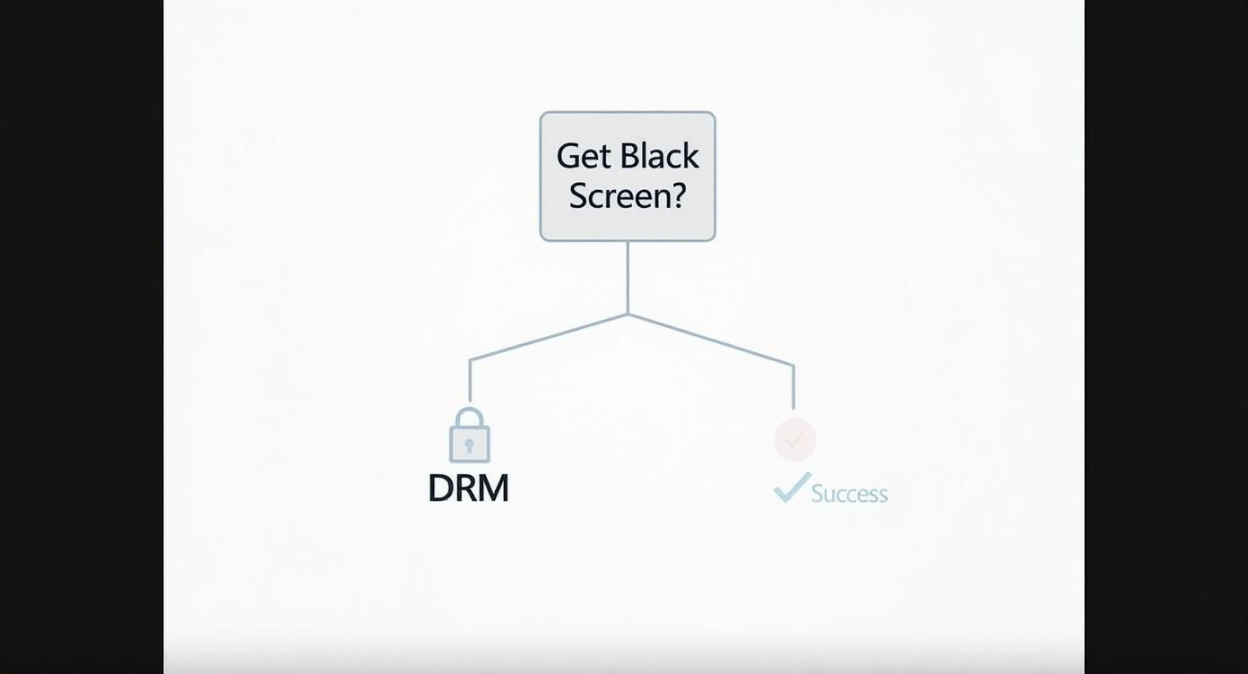 A troubleshooting flowchart diagram asking 'Get Black Screen?' with two potential outcomes: 'DRM' or 'Success'.