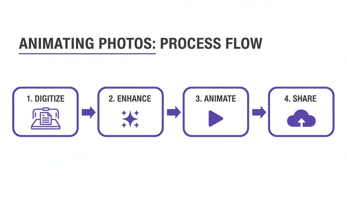 A process flow diagram illustrating four steps to animate photos: Digitize, Enhance, Animate, Share.