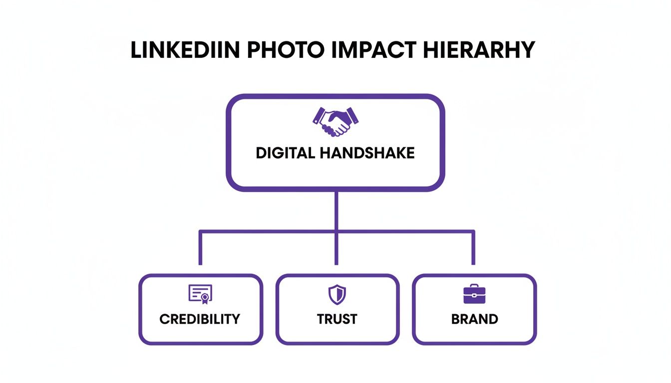 Hierarchy diagram illustrating LinkedIn photo impact: Digital Handshake leads to Credibility, Trust, and Brand.