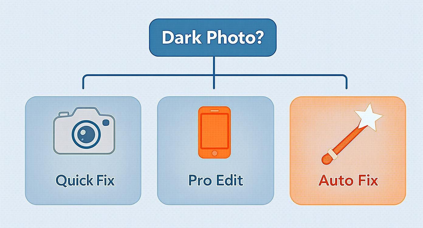 Infographic about how to brighten pictures