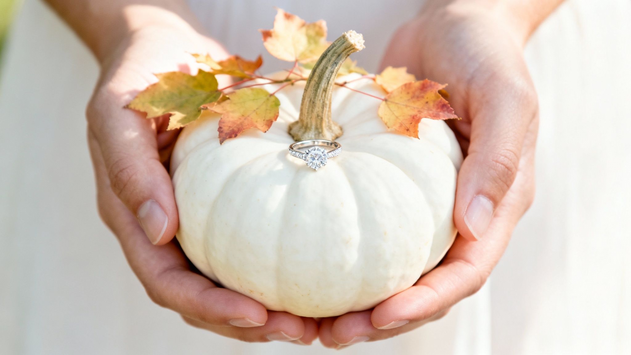 Scenic Destination or Travel-Themed Shot