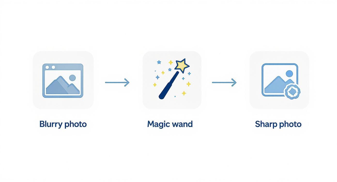 Infographic about edit wedding photos