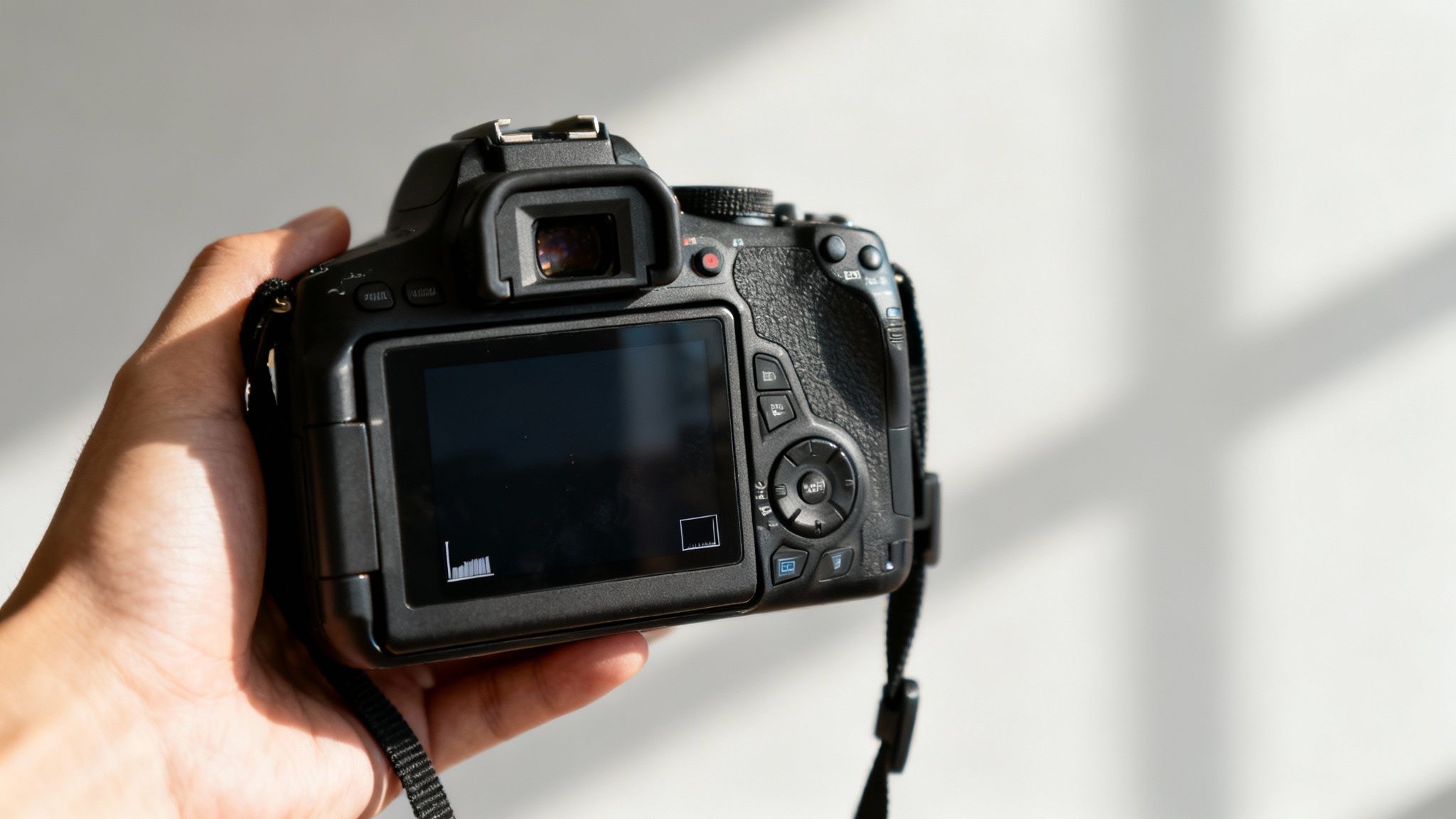 Photographer holding black DSLR camera from behind showing LCD screen and controls