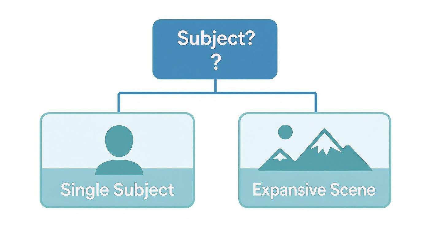 Flowchart illustrating two types of photo subjects: single subject (person) and expansive scene (landscape).
