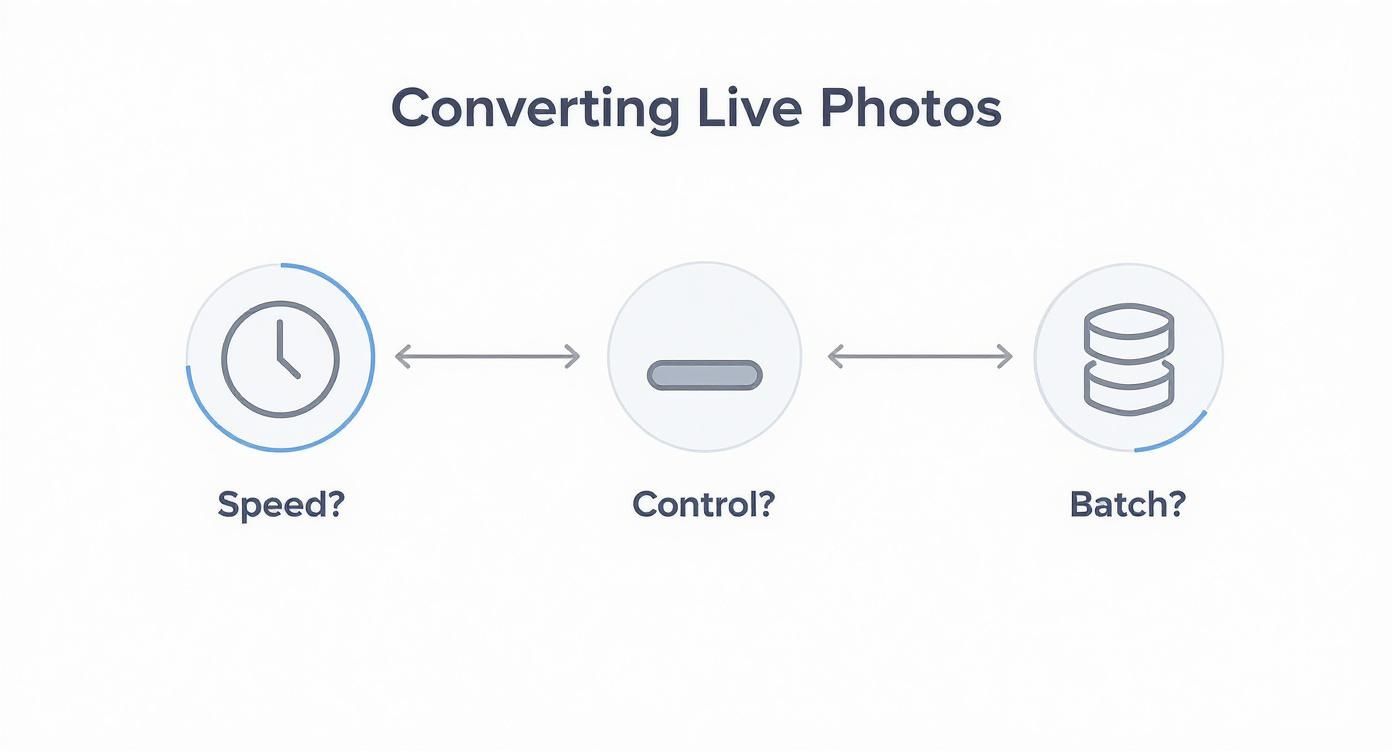 Infographic about turn live photo into video
