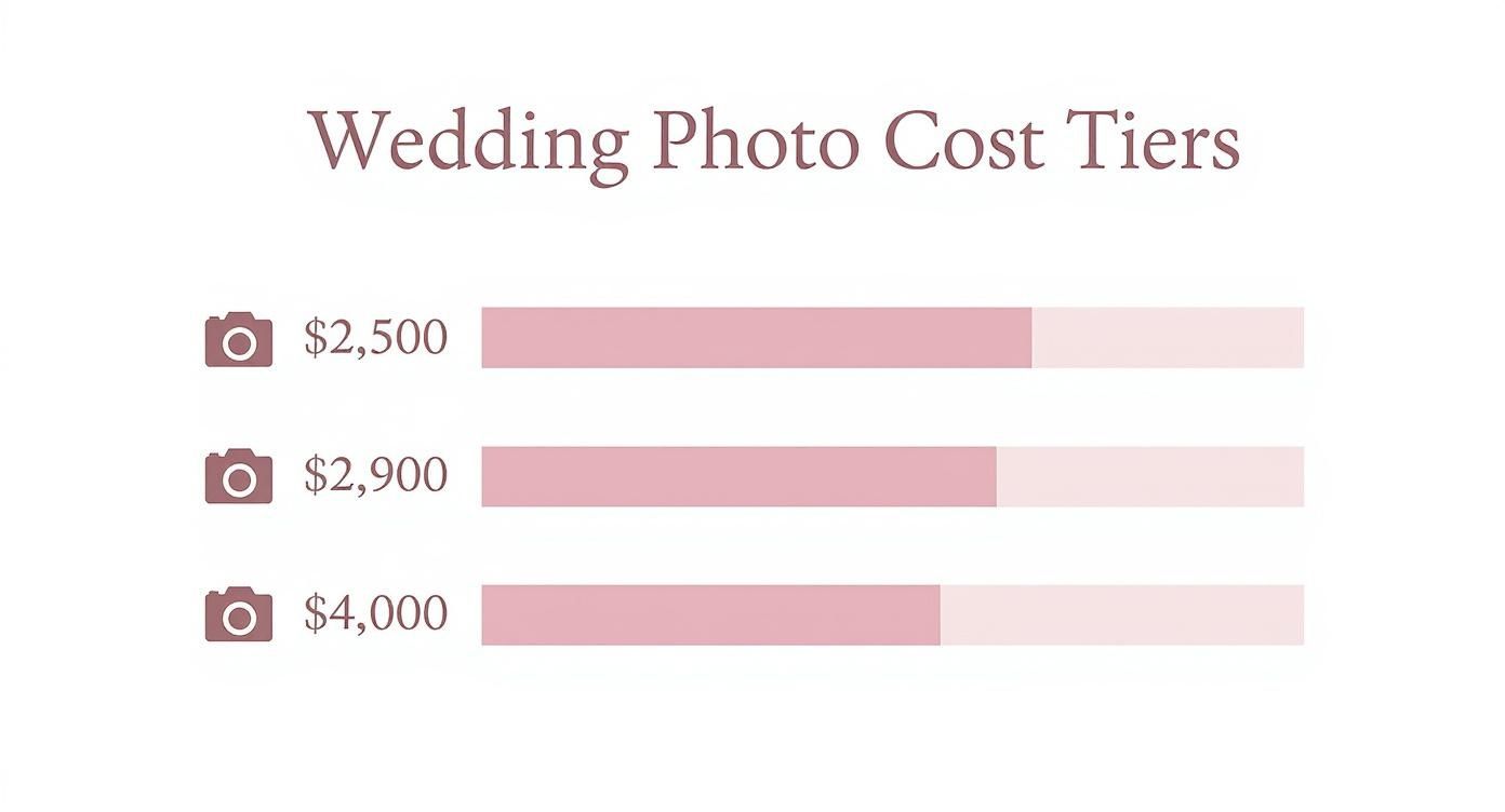 Infographic about how much do wedding photos cost