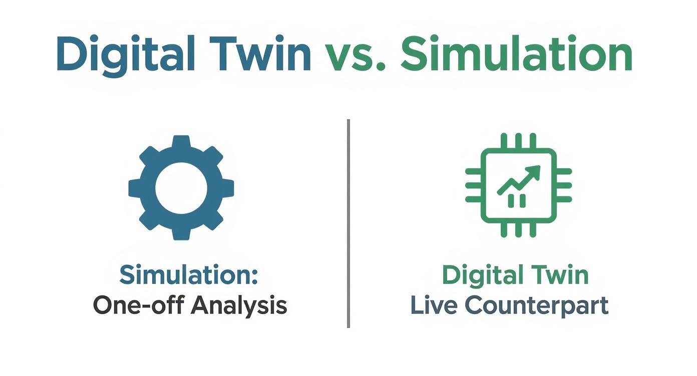 Infographic about digital twin vs simulation