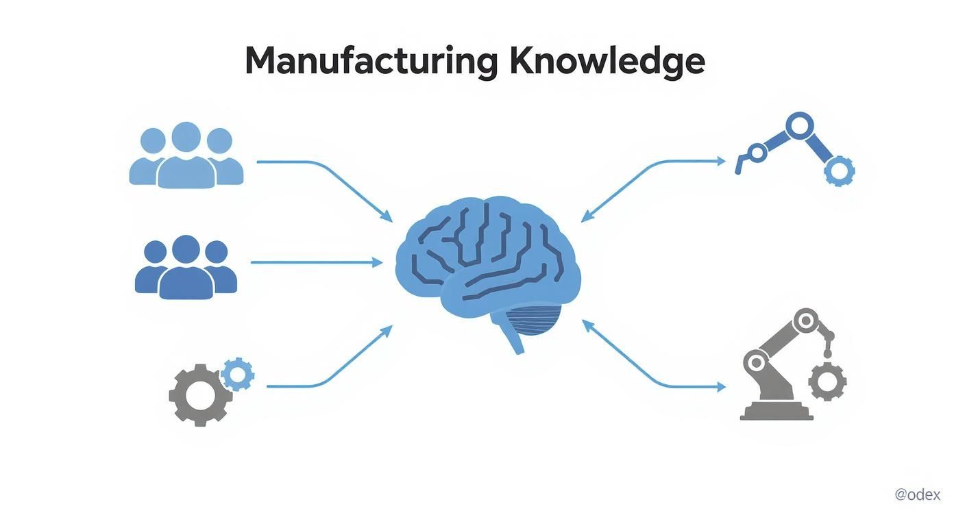 Infographic about manufacturing knowledge management