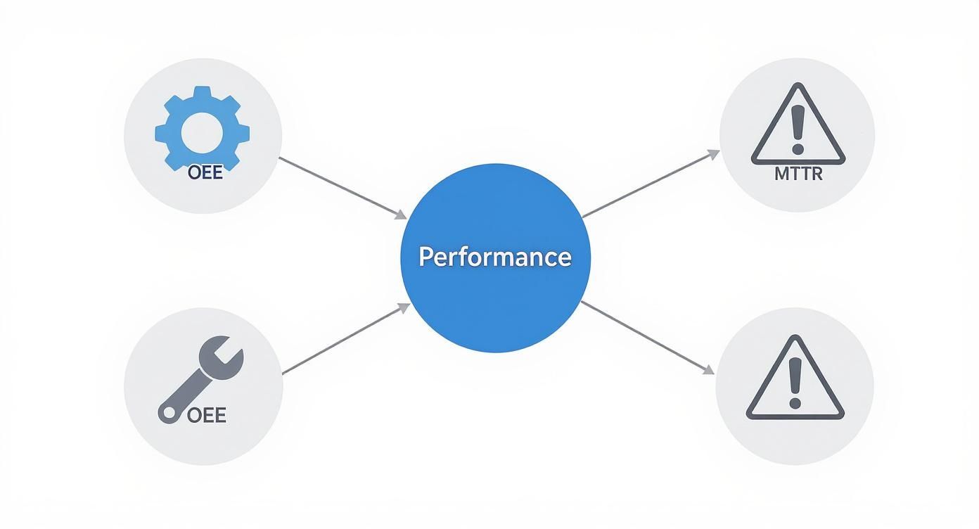 Infographic about operational efficiency metrics