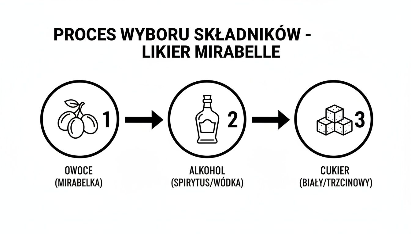 Schemat wyboru składników do nalewki z mirabelek: owoce, alkohol (spirytus/wódka) i cukier.