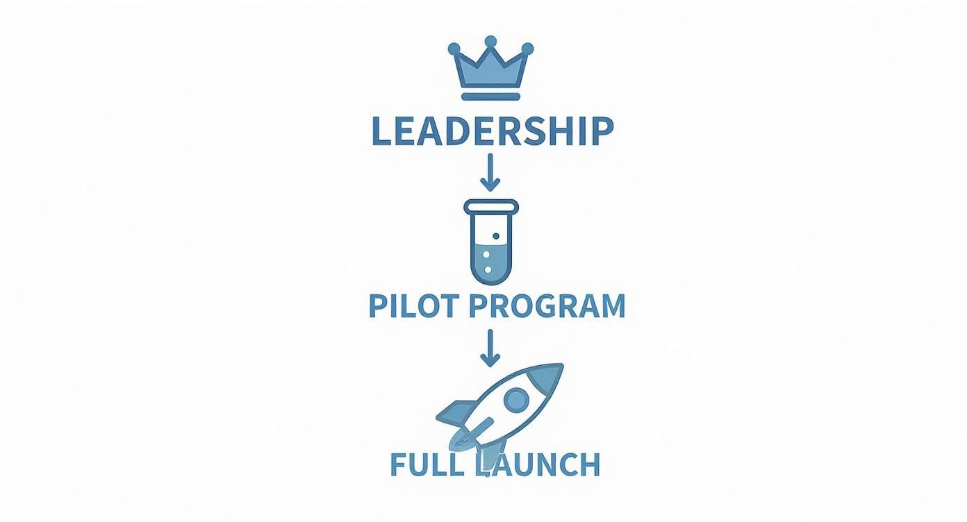A blue diagram illustrating a process flow from leadership to pilot program to full launch.