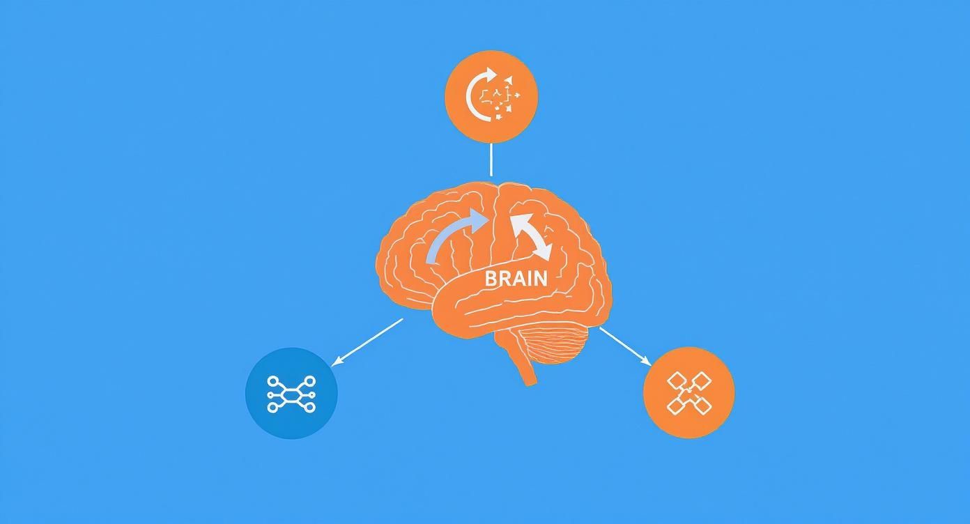 Infographic about accelerated learning techniques