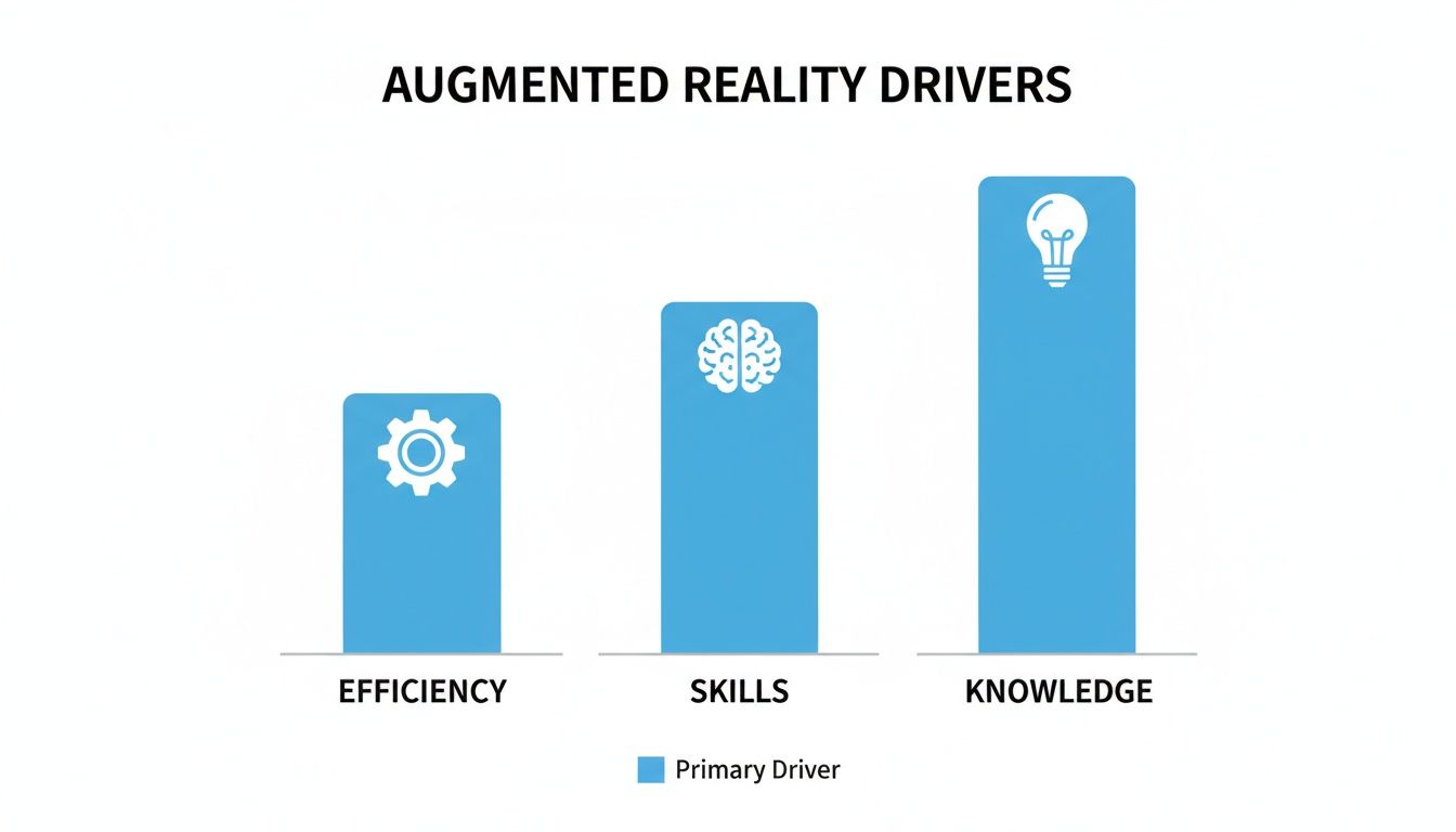 Bar chart illustrating Augmented Reality drivers: Knowledge, Skills, and Efficiency, ranked by importance.