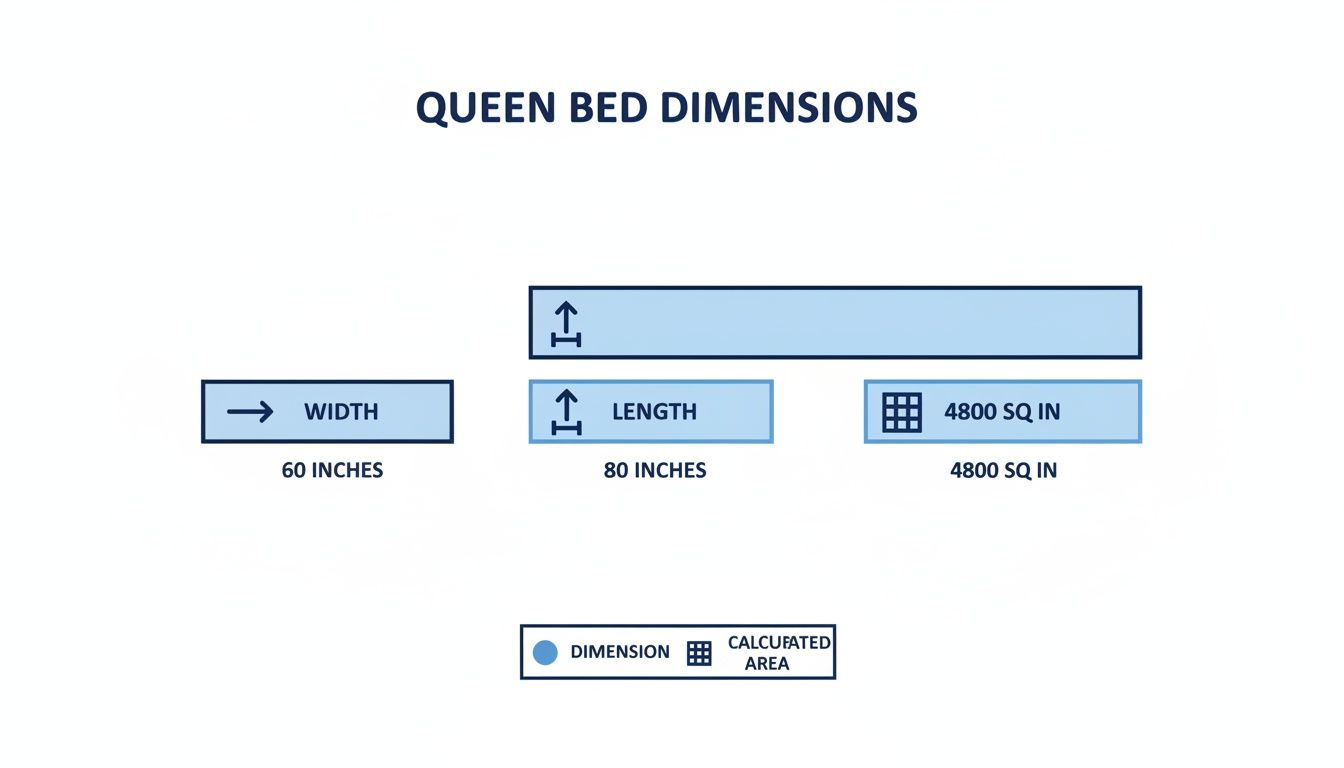 Infographic detailing queen bed dimensions, showing 60 inches width, 80 inches length, and 4800 square inches.