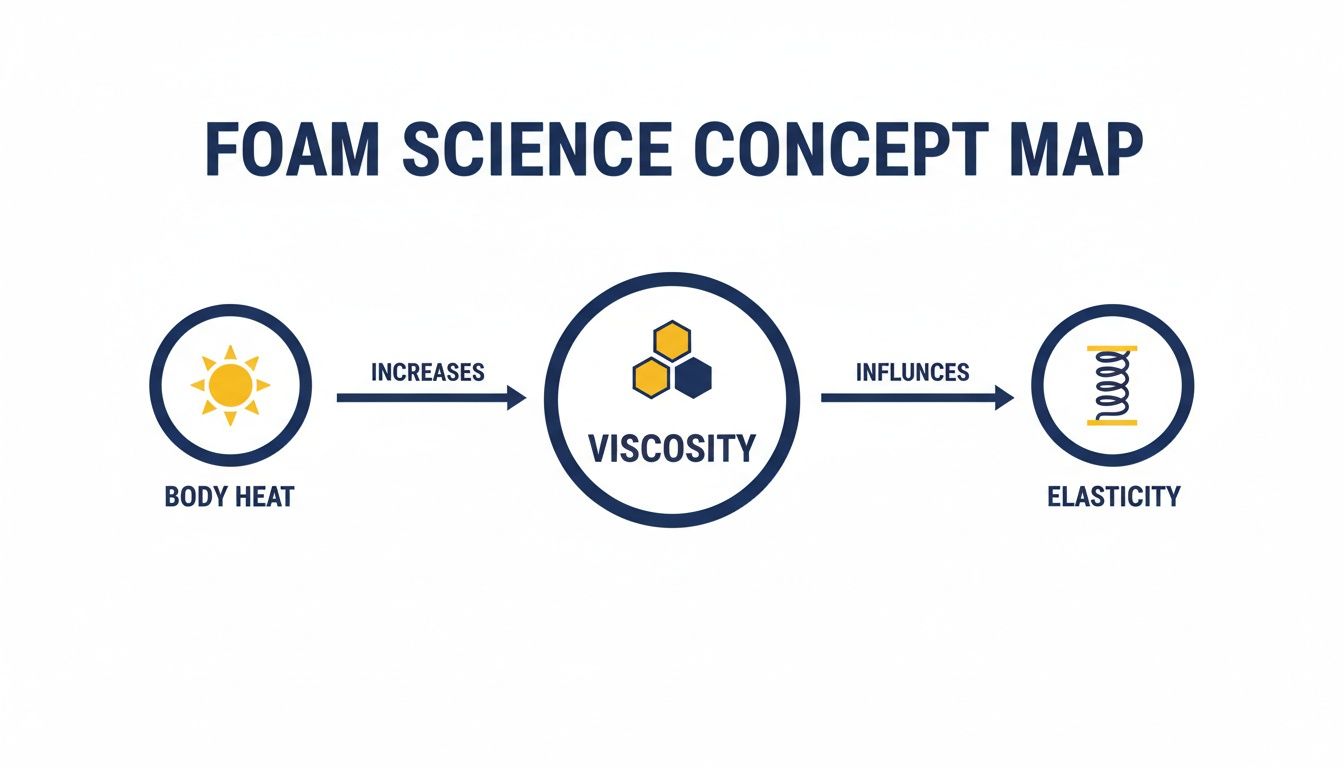 Foam science concept map illustrating how body heat increases viscosity, influencing elasticity.