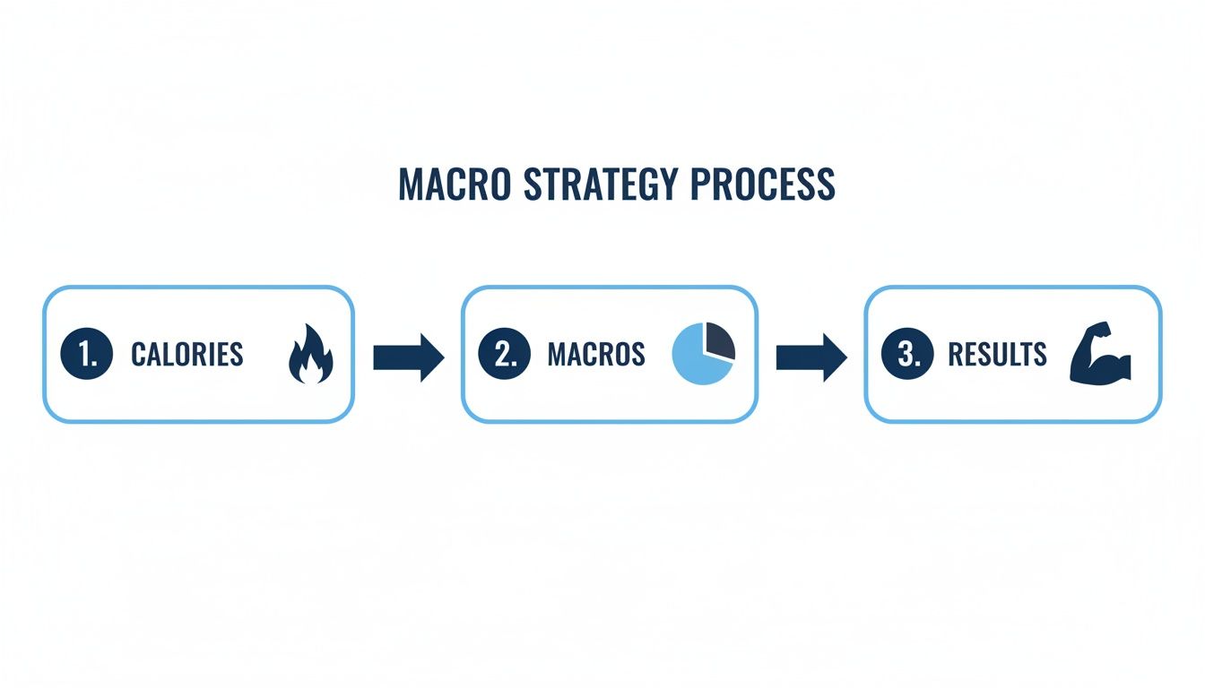 An infographic illustrating the Macro Strategy Process: Calories, Macros, and Fitness Results.