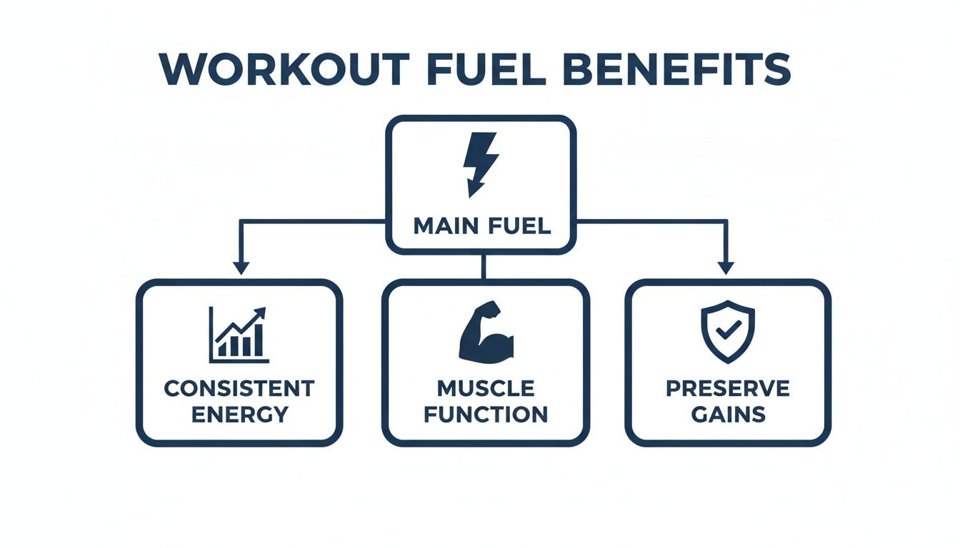 Diagram showing the benefits of workout fuel: consistent energy, muscle function, and preserving gains.