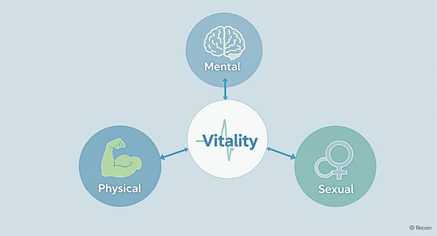 A diagram illustrates Vitality as central, connected to Mental, Physical, and Sexual health aspects.