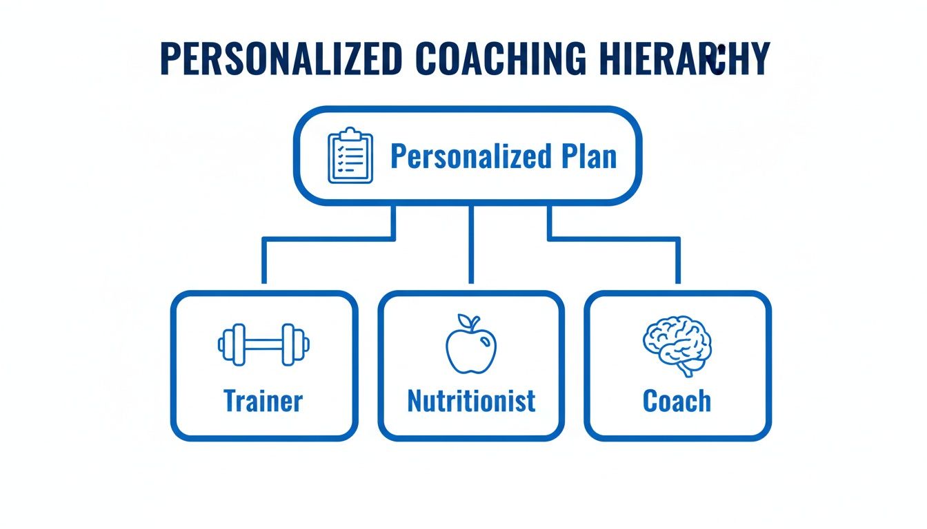 A hierarchy chart illustrating personalized coaching, starting with a personalized plan leading to a trainer, nutritionist, and coach.