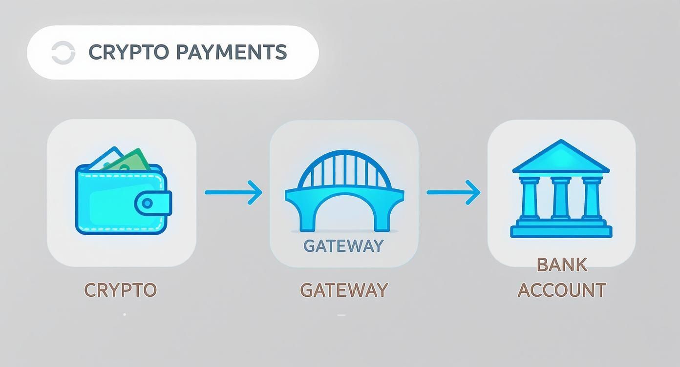 Infographic about cryptocurrency payment gateways