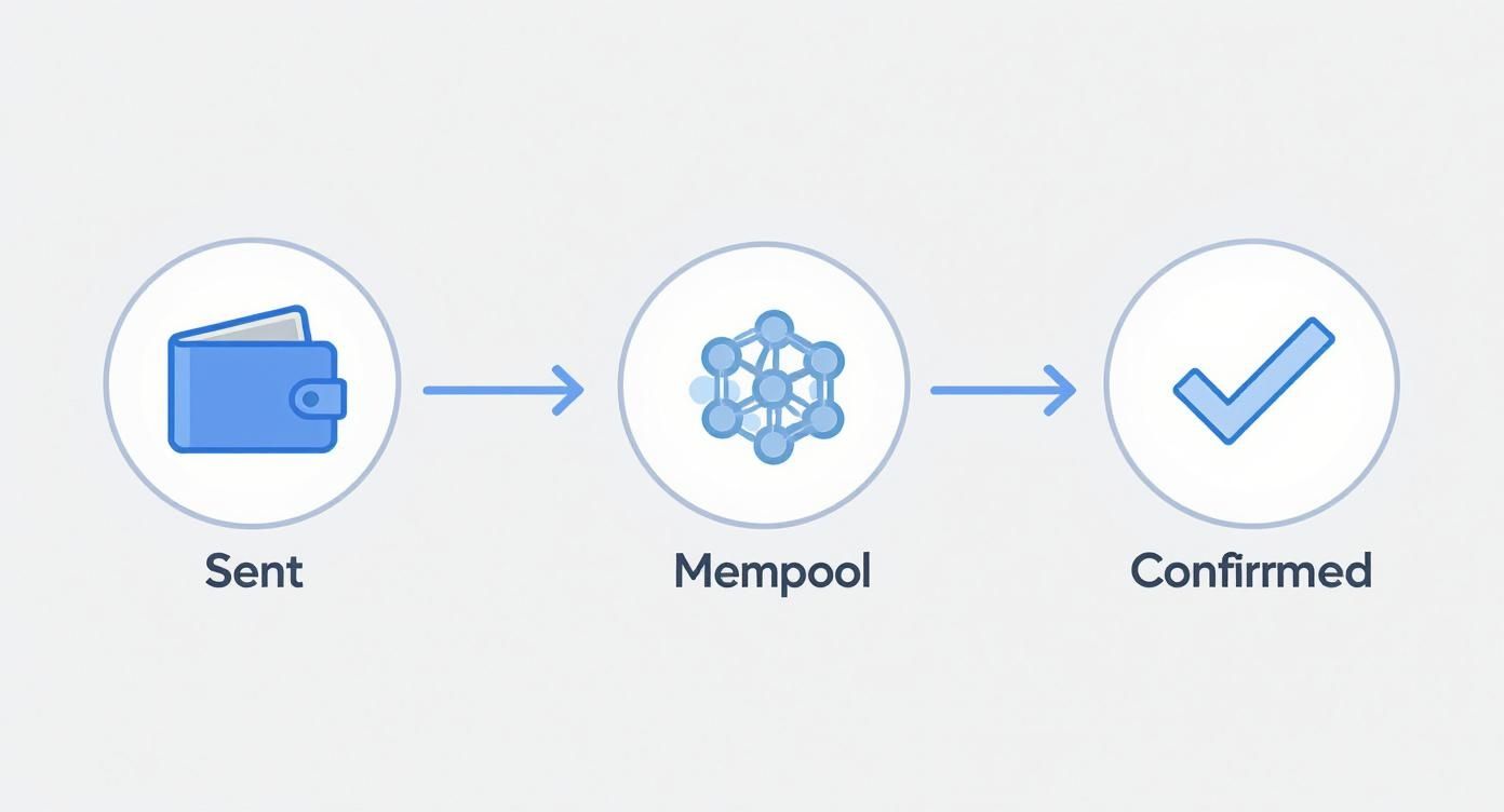 Infographic about crypto transaction tracking