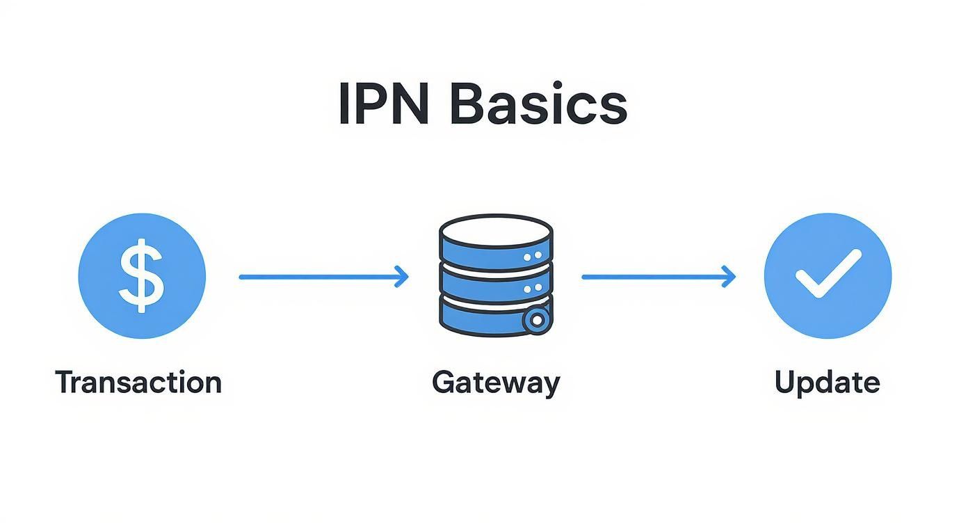 IPN basics workflow diagram showing transaction flowing through gateway to update confirmation with database icon