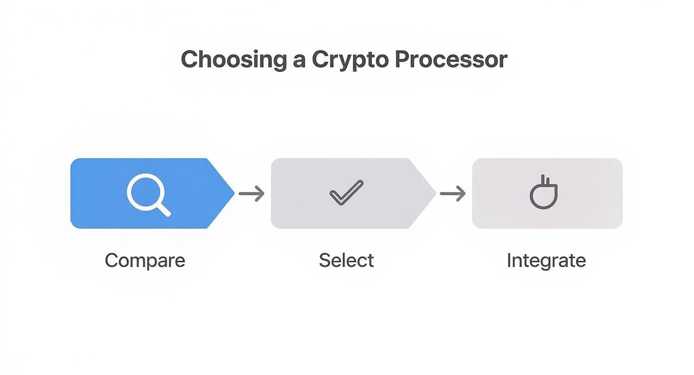 Infographic about accept crypto payments for business