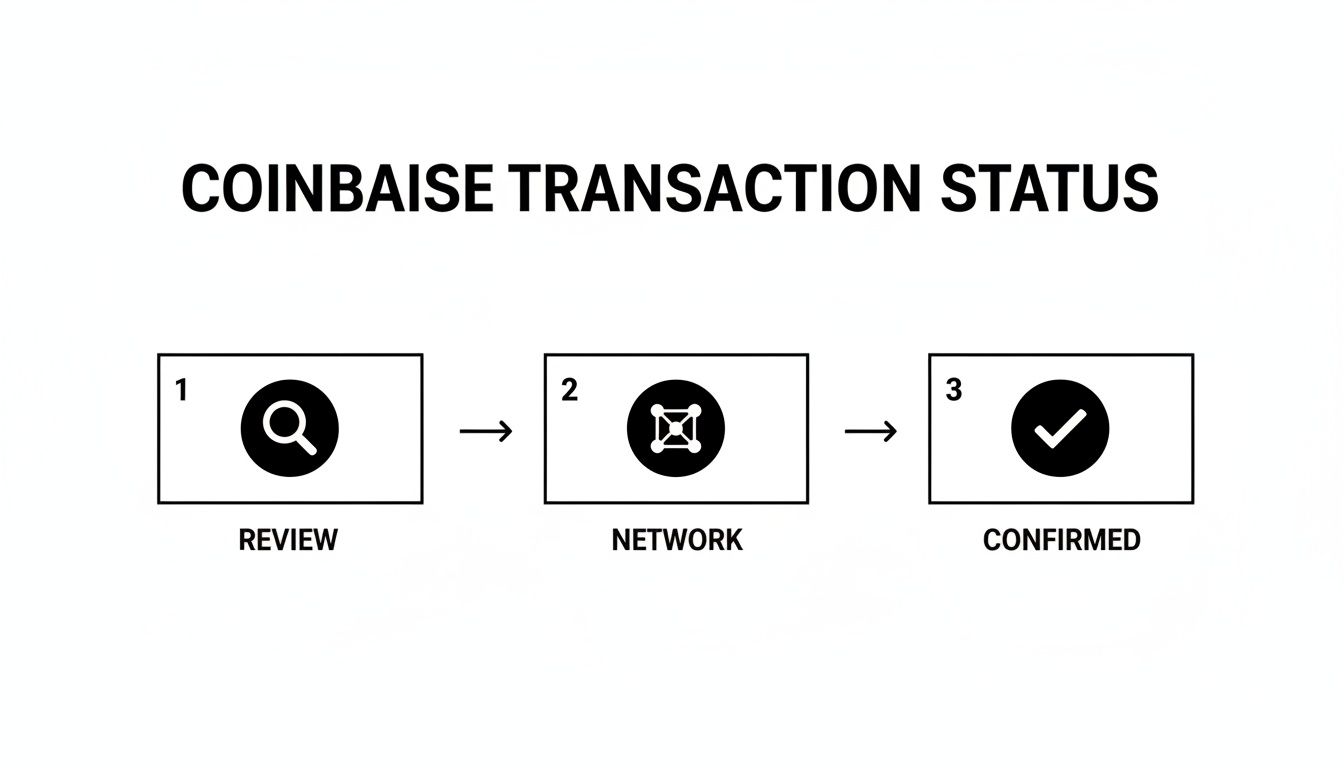 A diagram illustrating the three steps of a Coinbase transaction status: Review, Network, and Confirmed.