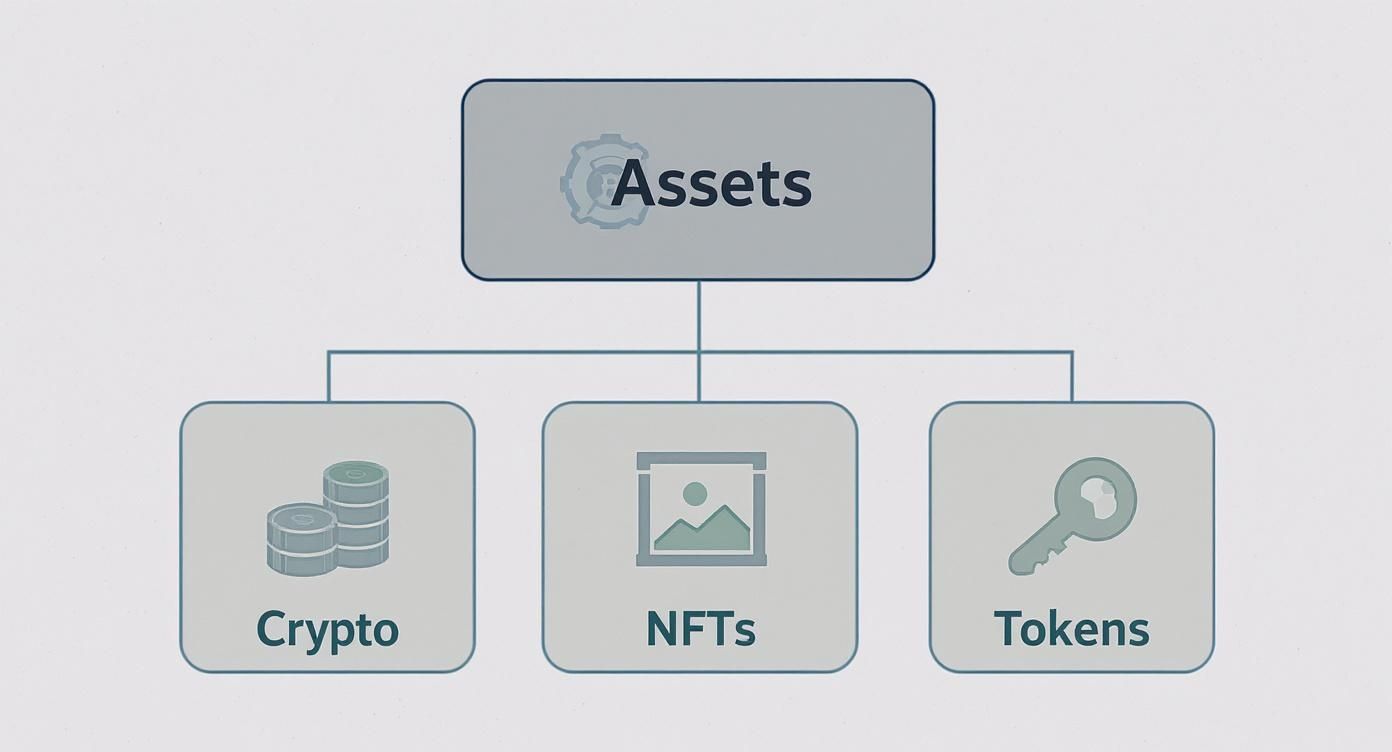 Infographic about what is a digital asset